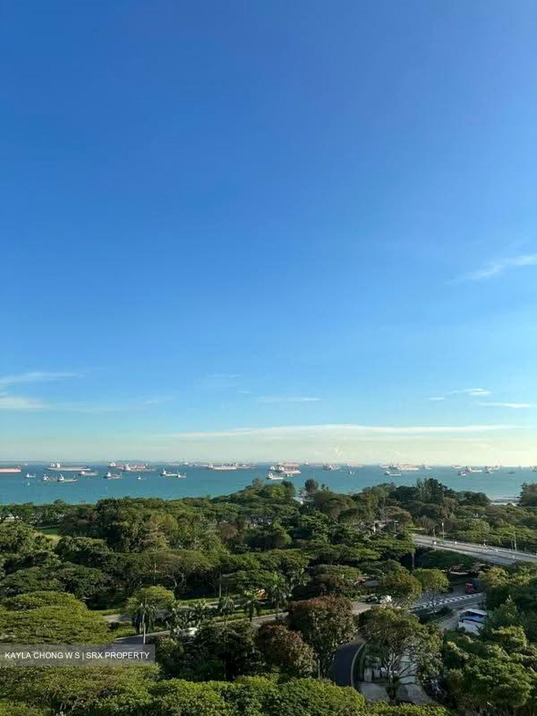 Bayshore Park (D16), Condominium #610373631